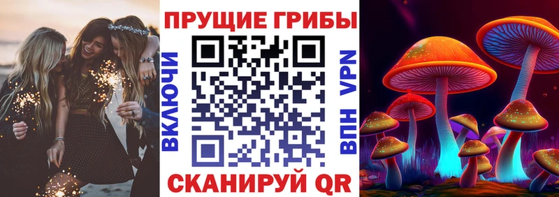 Псилоцибиновые грибы GOLDEN TEACHER  Калининск 